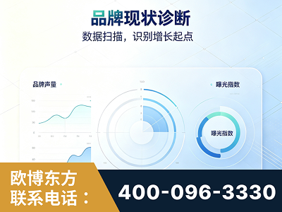 临海-品牌现状诊断