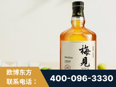 临海-梅见青梅酒
